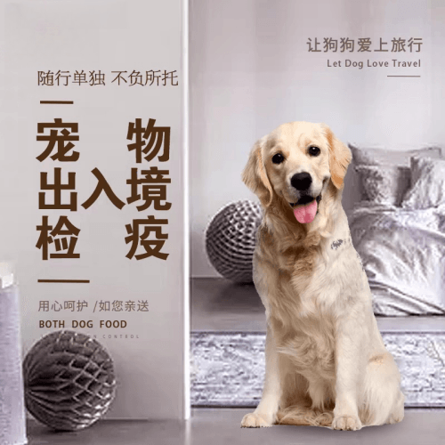 桃园市宠物托运到哥伦比亚猫狗宠物入境规定和