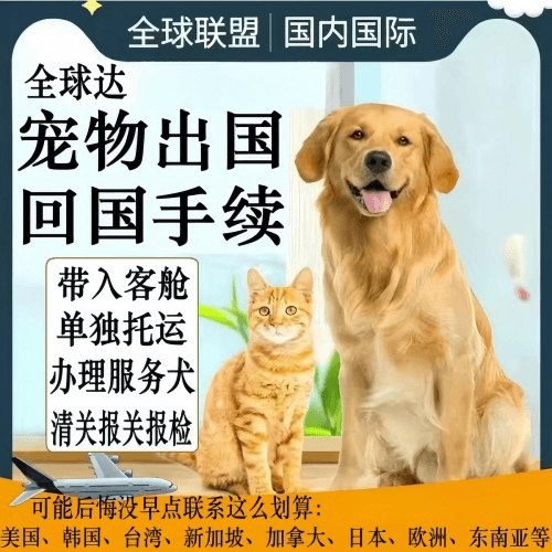桃园市宠物托运到柬埔寨宠物入境规定和要求