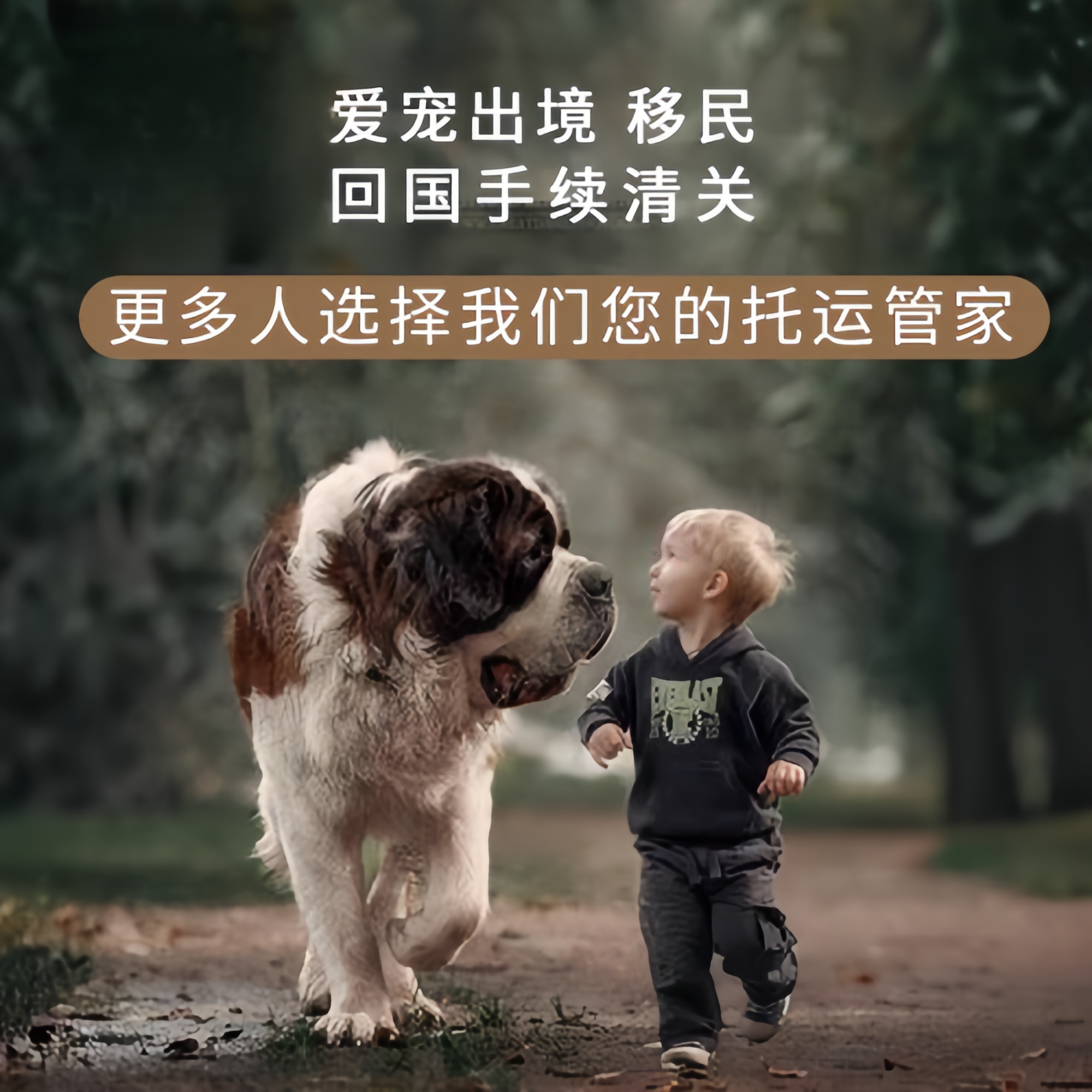 满财桃园市宠物全球达宠物托运在遵守入境目的地政策的条件
