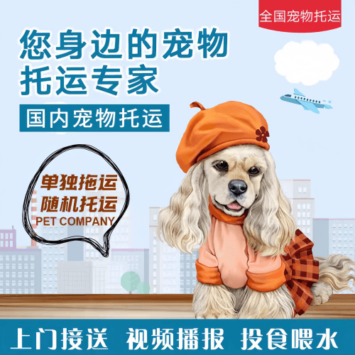满财桃园市宠物全球达宠物托运作为专业的宠物运输代理机构